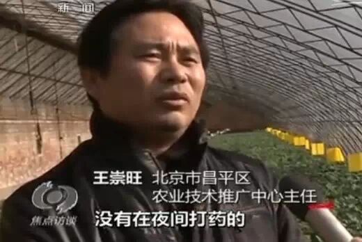 草莓大量打药毒死蜜蜂？又是假的137 / 作者:奇葩处处有 / 帖子ID:111730