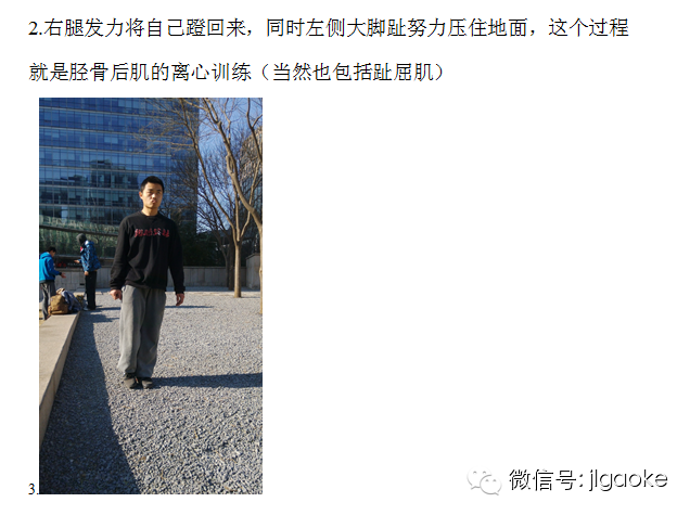 走路时的足踝和小腿功能-第12张图片-体能网