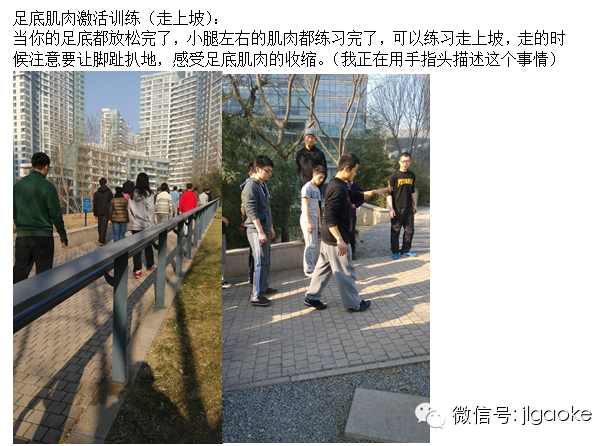走路时的足踝和小腿功能-第13张图片-体能网