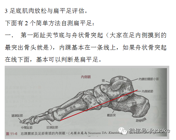 走路时的足踝和小腿功能-第6张图片-体能网