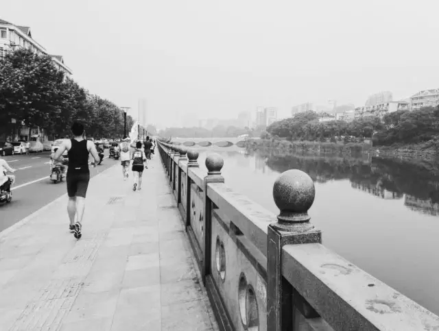 《入夏之初,穿越金陵55KM(好文推荐)》 - 这里升起太阳 - 百花争艳 《入夏之初,穿越金陵55KM(好文推荐)》 - 这里升起太阳 - 百花争艳