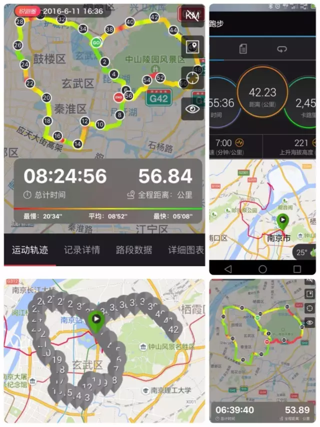 《入夏之初,穿越金陵55KM(好文推荐)》 - 这里升起太阳 - 百花争艳 《入夏之初,穿越金陵55KM(好文推荐)》 - 这里升起太阳 - 百花争艳