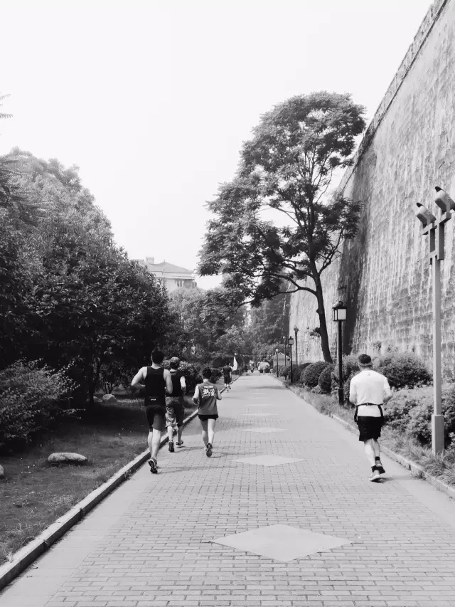 《入夏之初,穿越金陵55KM(好文推荐)》 - 这里升起太阳 - 百花争艳 《入夏之初,穿越金陵55KM(好文推荐)》 - 这里升起太阳 - 百花争艳