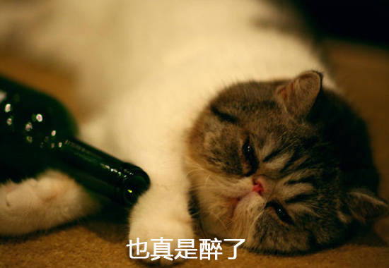 这些年度十大网络流行语 你家里人知道吗