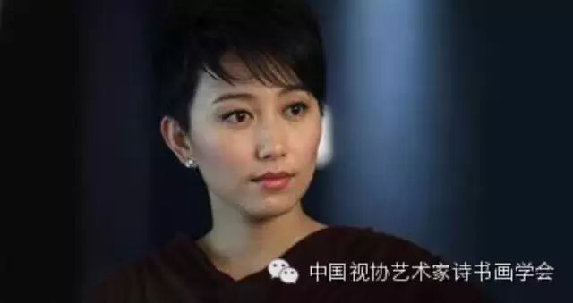 【诗书画学会·故事汇】丁柳元:演员是一个有责任感的职业