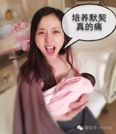 李小璐,马伊琍,娱乐圈女星给宝宝喂奶的样子太美了!