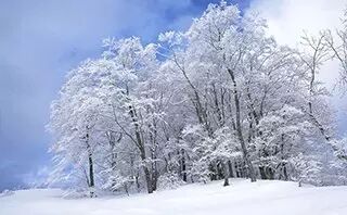 冲击器机加工图纸有英语看不懂？不怕！史上最全翻译都在这里了