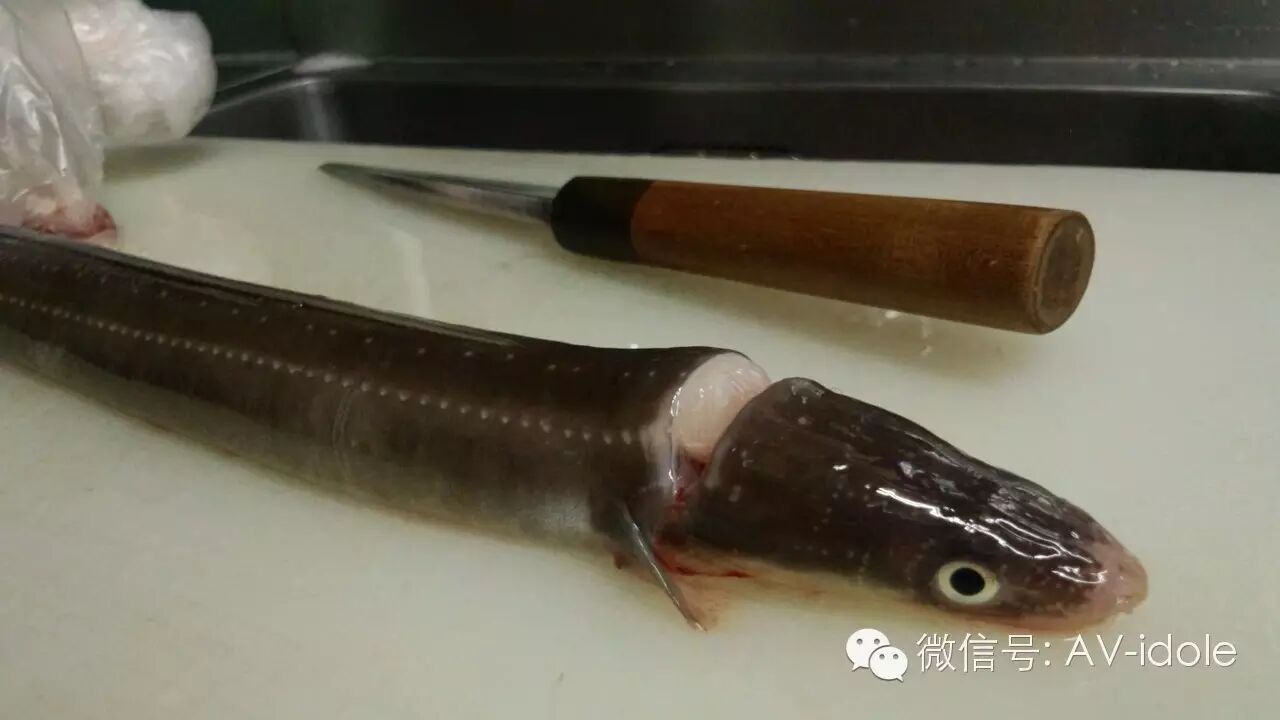 DMM全女優之日系黑肤辣妹AIKA