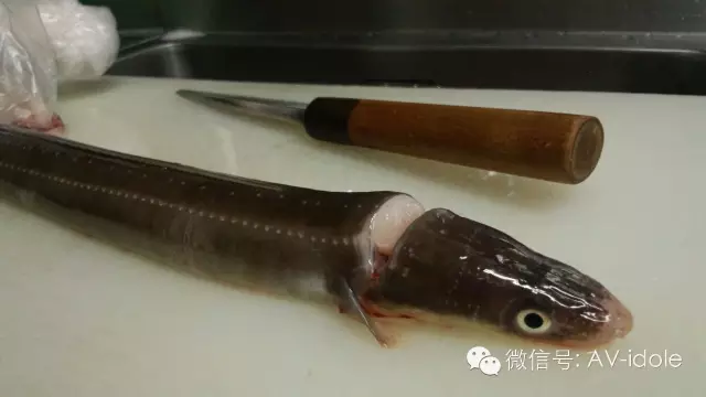 DMM全女優之日系黑肤辣妹AIKA DMM全女優之日系黑肤辣妹AIKA