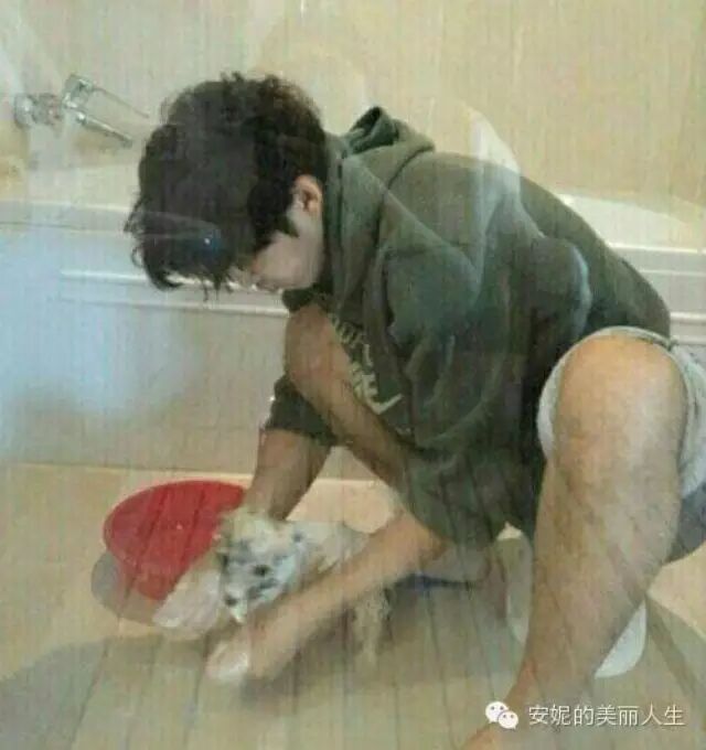 【 星闻 】尹启相承认“裸照”主角系李哈妮-称有人恶意传...