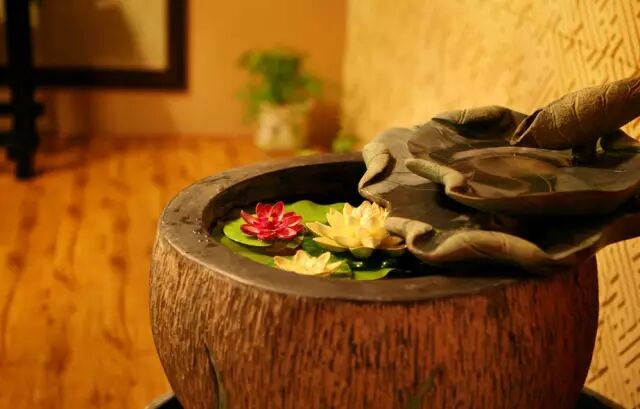 华莱健黑茶助化妆女性远离重金属危害