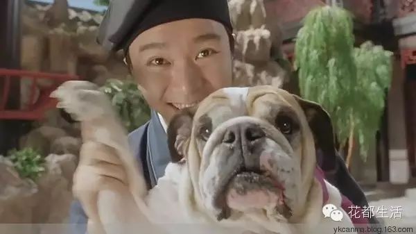 “星爷”开新戏拍《人狗情未了》!今次主角稳陈法拉!!