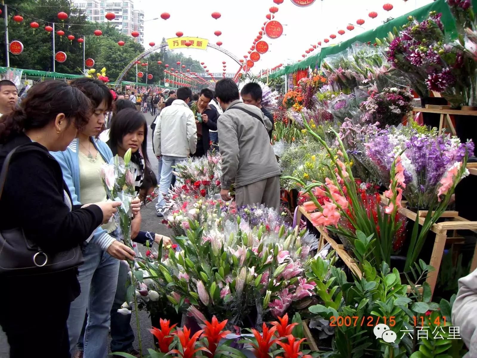 深圳今年迎春花市"多点开花"