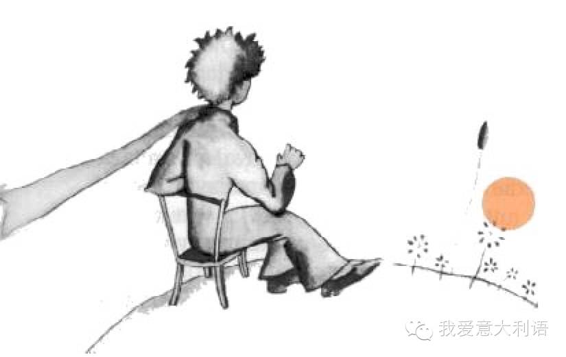 [双语小说] <wbr>《小王子》 <wbr>il <wbr>piccolo <wbr>principe <wbr>—— <wbr>第六章 <wbr>capitol