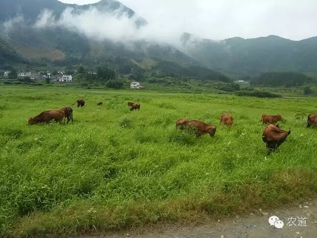耕地机_人均耕地归纳总结(2)