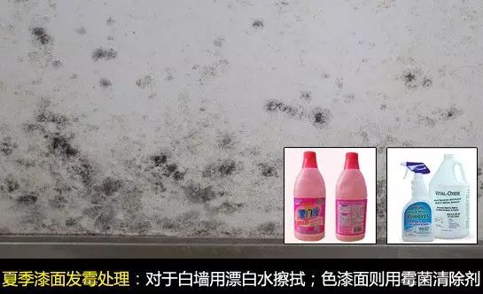 拋光磚表面蠟怎么除_木地板除蠟_地板保養蠟