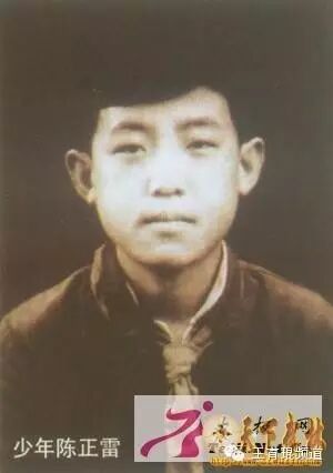 陈正雷：只管打拳，成就了大师