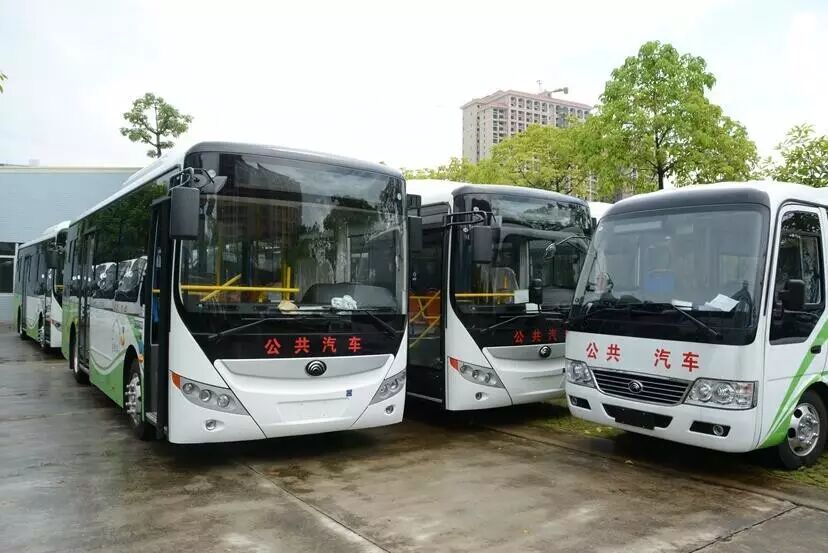 恩平城区新增906号公交线投入运营最新公交线路图出炉
