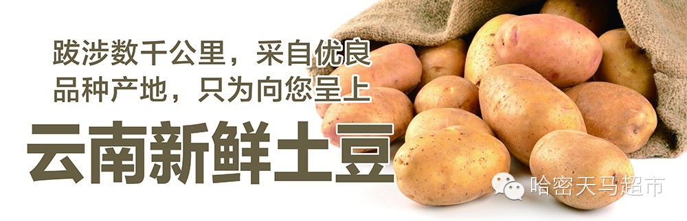 新鲜土豆从云南「直奔」天马