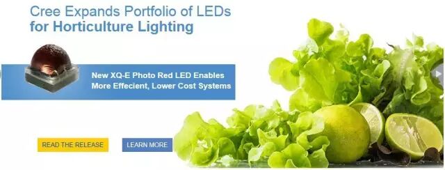 【会员动态】科锐推出针对植物照明优化的XQ-E Photo Red LED