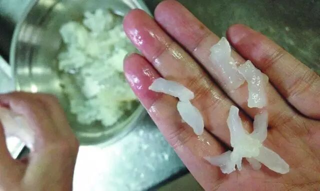 恐怖！原来街边烤鱿鱼是用这个泡出来的...|“垃圾食品”的解药，吃货们必须知道！ ...504 / 作者:花开似花落、 / 帖子ID:113650