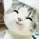 給自己一個充實的夏天～～15