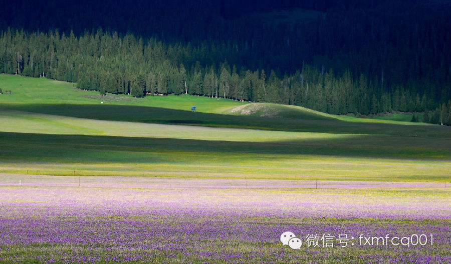 新疆伊犁,震撼人心的景色!