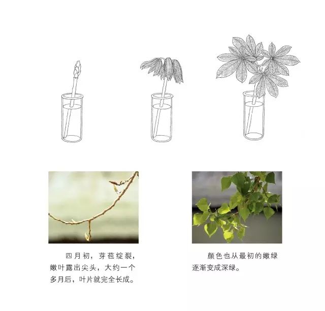 我們熱愛的不止自然，而是自然生活之道…… 戲劇 第10張