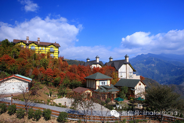 南投景点 台湾最高的高原农场 清境农场 台湾深度旅遊formosa 新浪博客