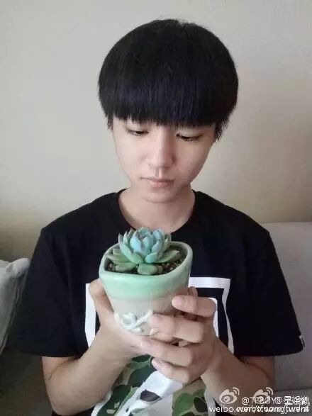 王俊凯更新微博:绿色大使,一年之计在于春