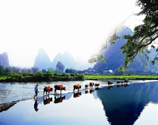 花已成海,你在不在?37 / 作者:黑白年代 / 帖子ID:106721 花已成海,你在不在?37 / 作者:黑白年代 / 帖子ID:106721