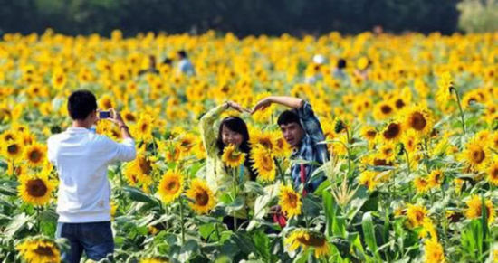 花已成海,你在不在?36 / 作者:黑白年代 / 帖子ID:106721 花已成海,你在不在?36 / 作者:黑白年代 / 帖子ID:106721