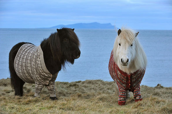 红叶为媒冬牵秋，德保枫叶节363 / 作者:欧耶 / 帖子ID:106242