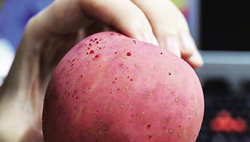 市民给苹果洗了个热水澡，居然会“流血”？能吃吗！250 / 作者:美丽的梦花 / 帖子ID:106692