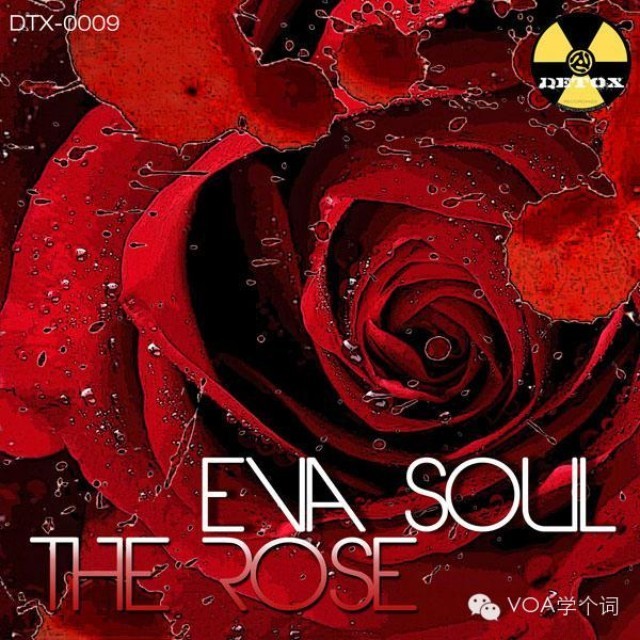 The Rose__Bette Midler