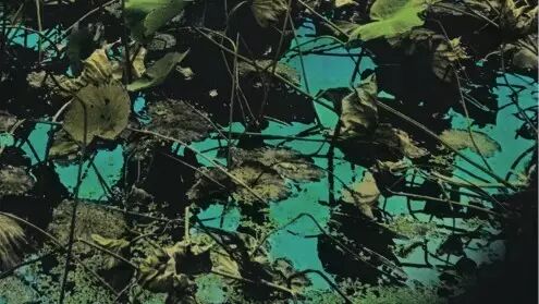 《鱼和她的朋友们》-漫游者黄磊访谈