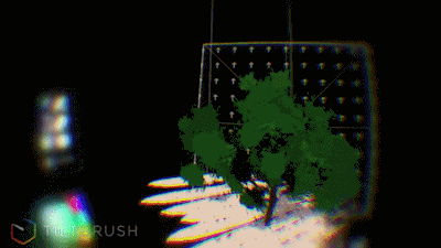 谷歌开发了那么多应用，为何只有这款VR应用被惊呼“逆天”？