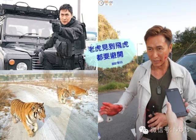 拍剧 马德钟自认《飞虎》不怕老虎