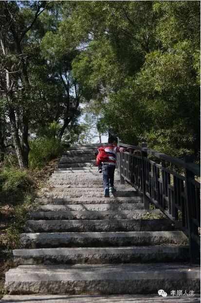 《俞悦家书之四》一个爸爸给二胎女儿第四封信:舅婆家的月子鸡-怀孕期