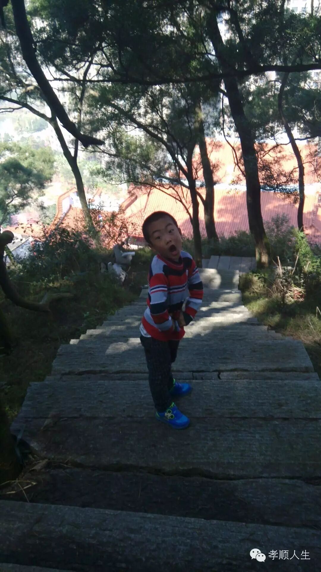 《俞悦家书之四》一个爸爸给二胎女儿第四封信:舅婆家的月子鸡-怀孕期