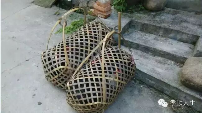 《俞悦家书之四》一个爸爸给二胎女儿第四封信:舅婆家的月子鸡-怀孕期