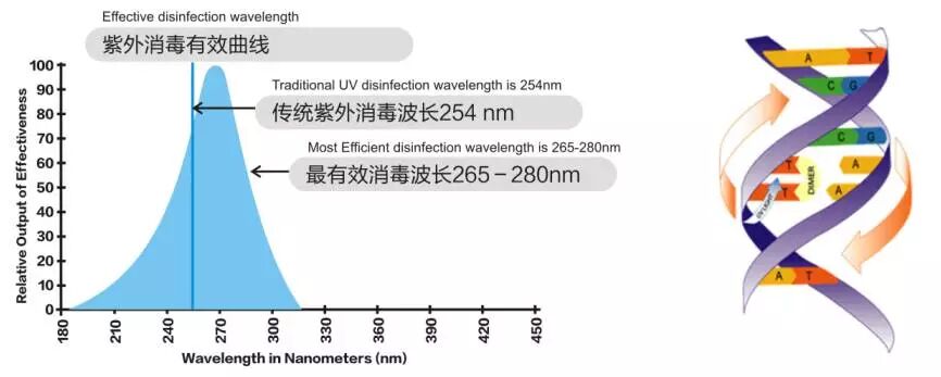 鸿利光电光亚展首发全无机UV LED封装器件惹关注！