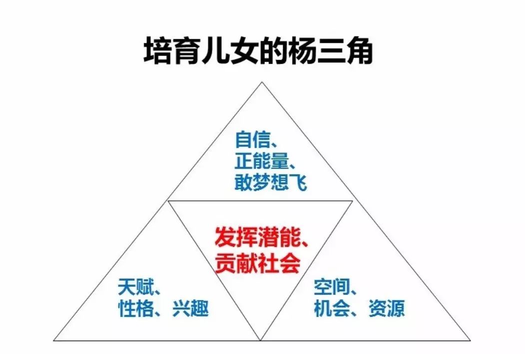 杨国安我是怎么用杨三角理论来教养孩子的欧二代成长记