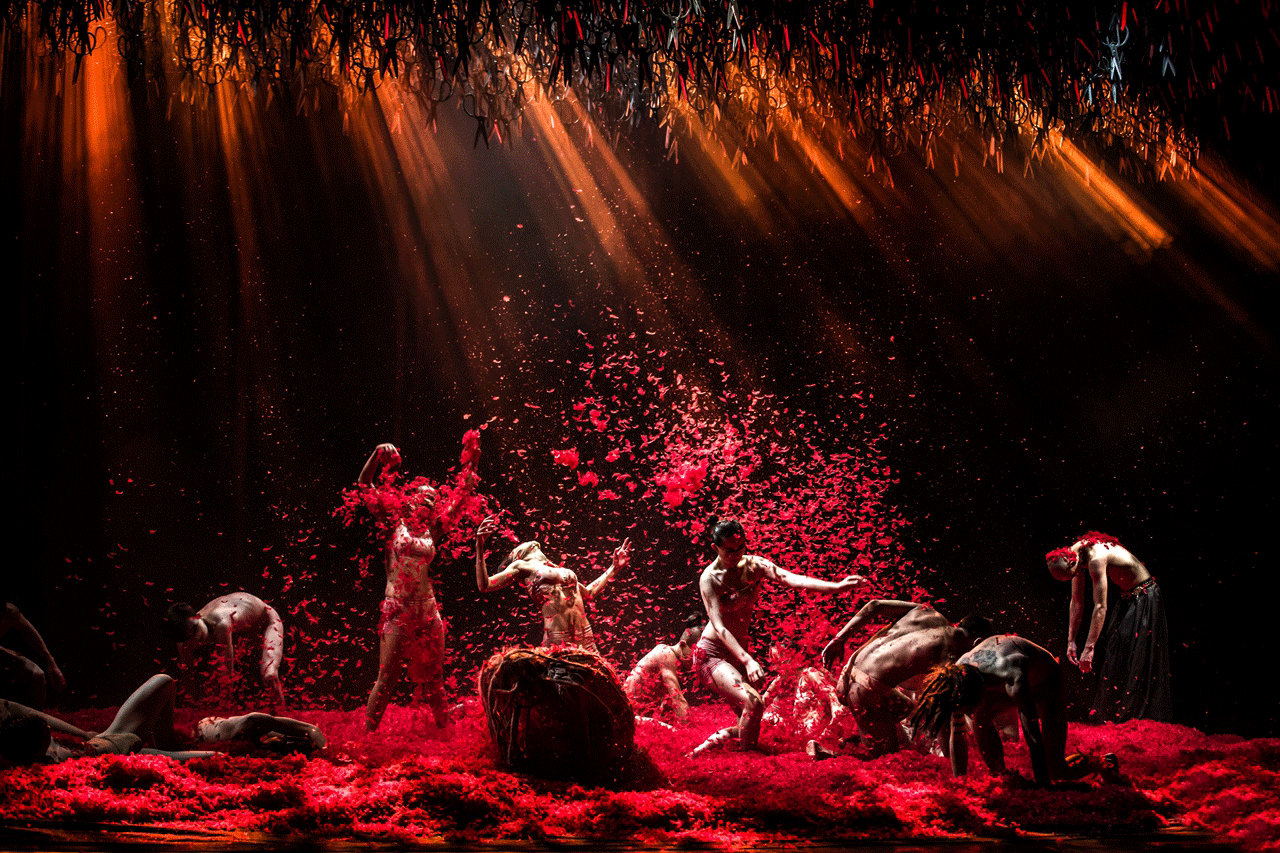 但她的生命远不止旁观,杨丽萍把身心都奉献给舞蹈,即使退休多年,也