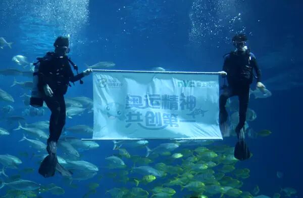 冠军的盛宴！雷士电商新品闪耀发布