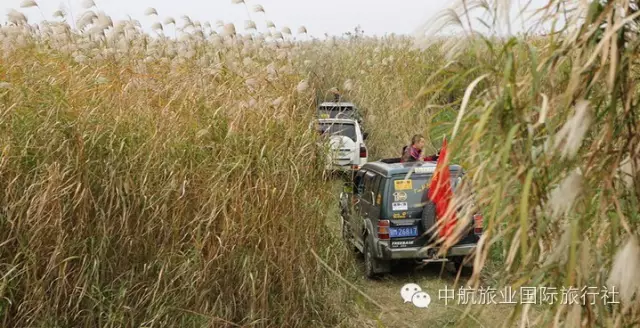 登录查看大图