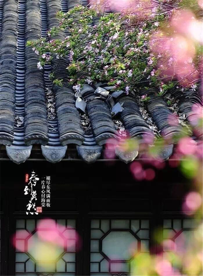 余秋雨笔下的爱，美得让人心醉407 / 作者:碧澄匀 / 帖子ID:115798