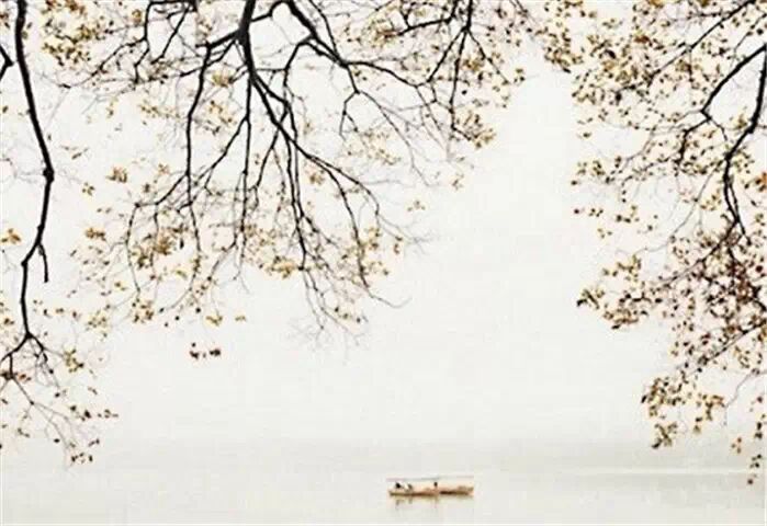 余秋雨笔下的爱，美得让人心醉122 / 作者:碧澄匀 / 帖子ID:115798