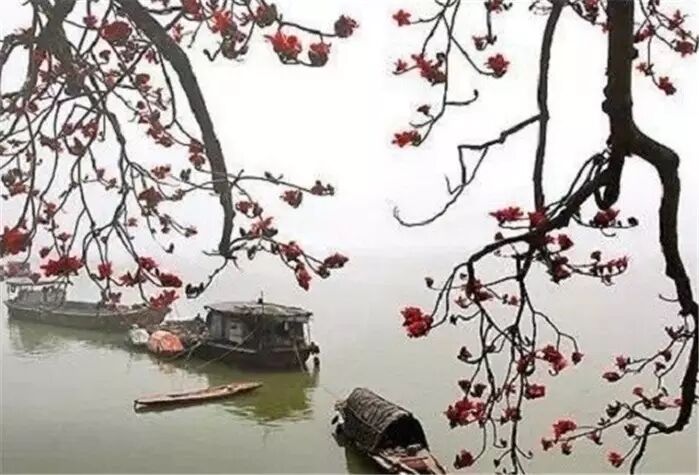 余秋雨笔下的爱，美得让人心醉375 / 作者:碧澄匀 / 帖子ID:115798