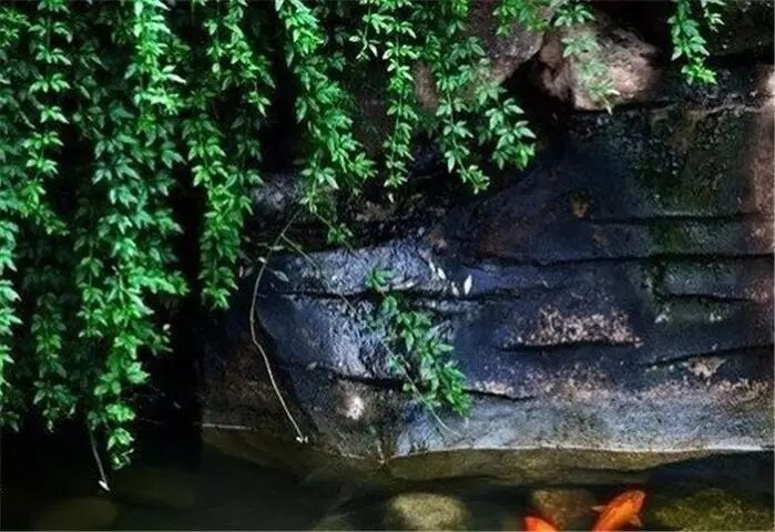 余秋雨笔下的爱，美得让人心醉245 / 作者:碧澄匀 / 帖子ID:115798